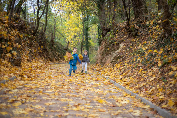 istock Boys enjoying in autumn day 1272583159