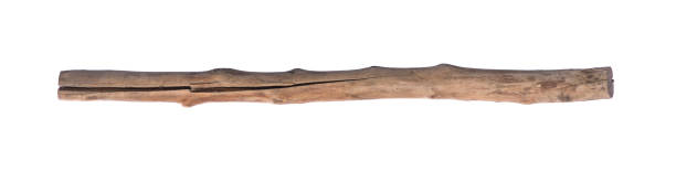 白い背景に隔離された古い木製の棒 - stick wood isolated tree ストックフォトと画像