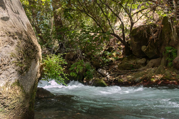 イスラエル北部のゴラン高原の透き通った海を持つ素早い山岳エルモン川のベッド - travel israel day crystal ストックフォトと画像