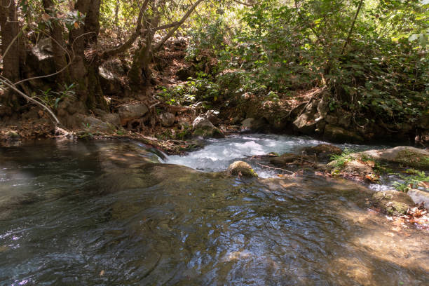 イスラエル北部のゴラン高原の透き通った海を持つ素早い山岳エルモン川のベッド - travel israel day crystal ストックフォトと画像