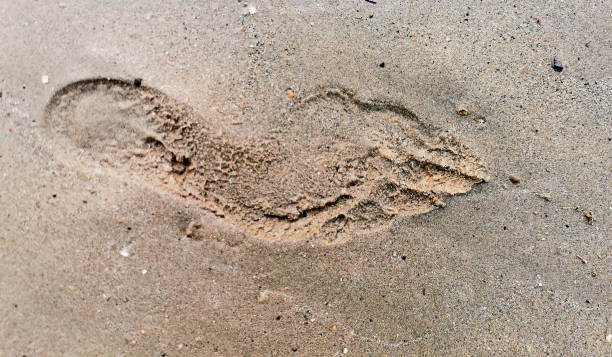 istock closeup man's footprint on wet beach sand 1272591445