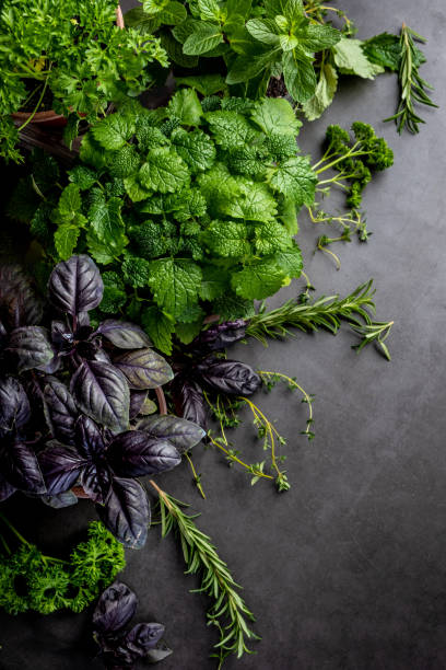 istock Mixed fresh green vegetables on wooden background. 1272593319