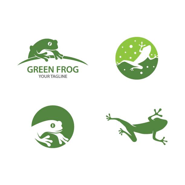Green Frog Green Frog Logo Template vector illustration design frog stock illustrations