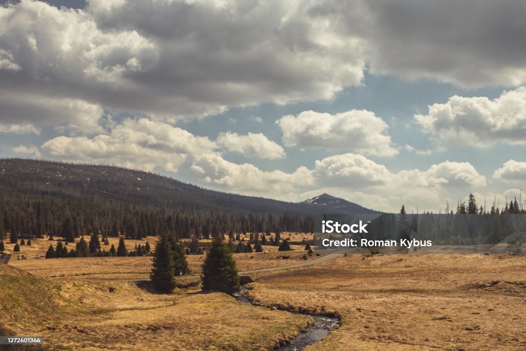 The Bohemian Forest - Sumava. View from Breznik to Lusen valley. The Bohemian Forest - Sumava. View from Breznik to Lusen valley. Landscape with grassy valley, trees and mountain on the horizon, cloudy sky. Summer Stock Photo