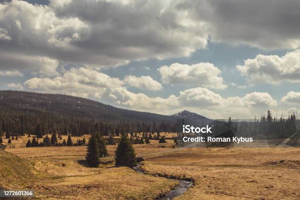 The Bohemian Forest Sumava View From Breznik To Lusen Valley Stock Photo - Download Image Now