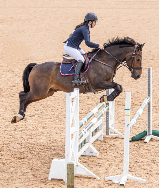 istock A showjumping horse in an elegant mid-flight position as it soars over a hurdle with a young equestrian female rider in the saddle practicing her sport. 1272602948
