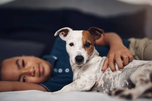 istock Me and my human, we're best buds 1272603635