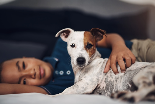 Shot of an adorable little boy playing with his pet dog on the bed at home