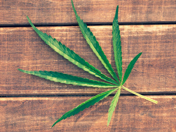 istock Marijuana leaf on wooden background 1272604181