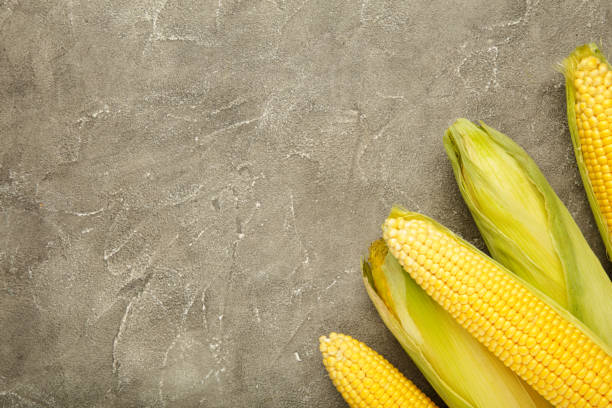 istock Fresh corn on cobs on rustic wooden table, closeup. Ripe corn. 1272605389