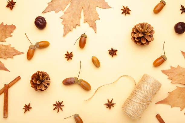 istock Autumn composition. Autumn leaves and corn, pine cone, anise star. Flat lay, top view, copy space 1272605522