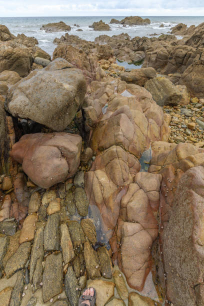 istock Rocks at low tide on the French Atlantic coast 1272605643