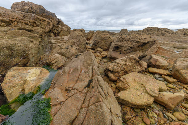 Rocks at low tide on the French Atlantic coast at the Sables d'olonne.