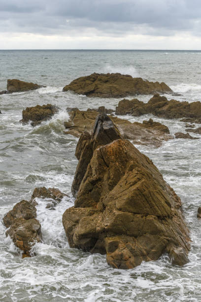 istock Rocks at low tide on the French Atlantic coast 1272605771