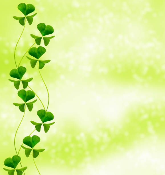 istock Green clover leaves. St.Patrick 's Day 1272606848
