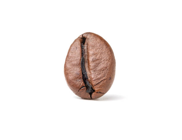 istock Single fresh roasted dark brown arabica coffee beans isolated on a white background with clipping path. 1272607680