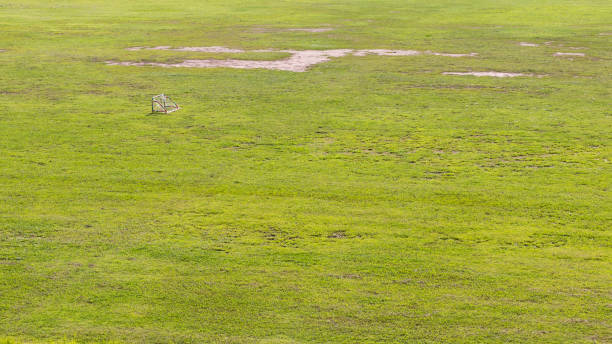 Lawn with small soccer goal.