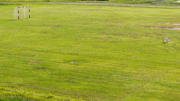 istock Lawn with small soccer goal. 1272608600