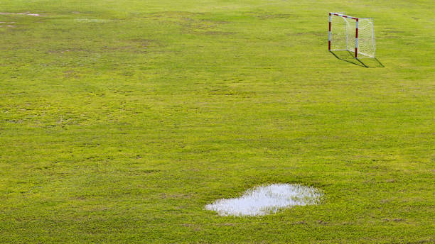 istock Lawn with small soccer goal. 1272609200