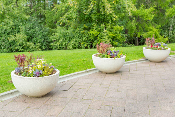 istock Garden pot with beautiful bright flower 1272609411
