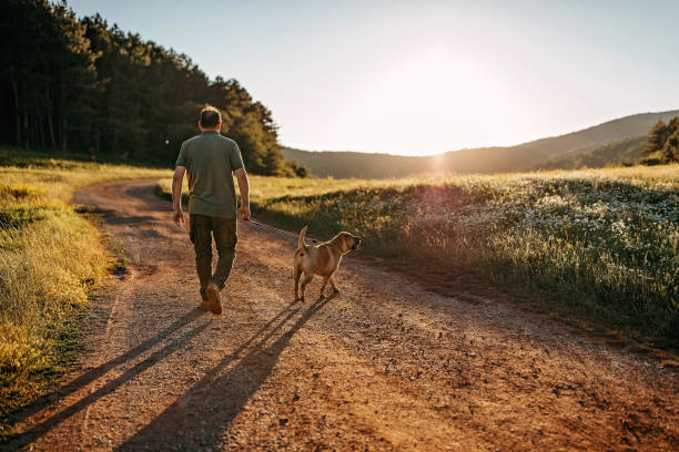 istock Senior man walking his dog 1272612363