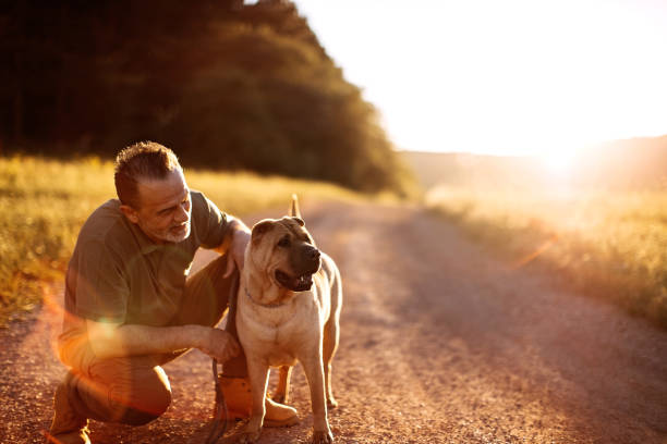 istock Senior man walking his dog 1272612431
