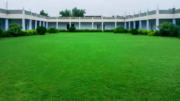 istock Green garden surrounded by building 1272612502