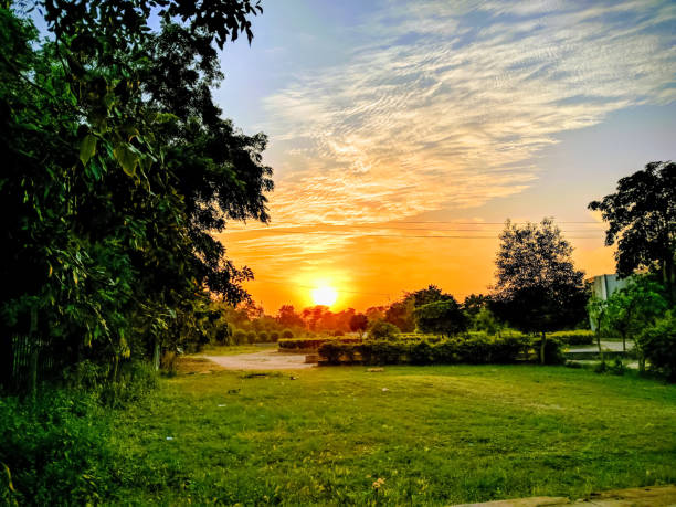 istock Beautiful sunset in garden. 1272612542