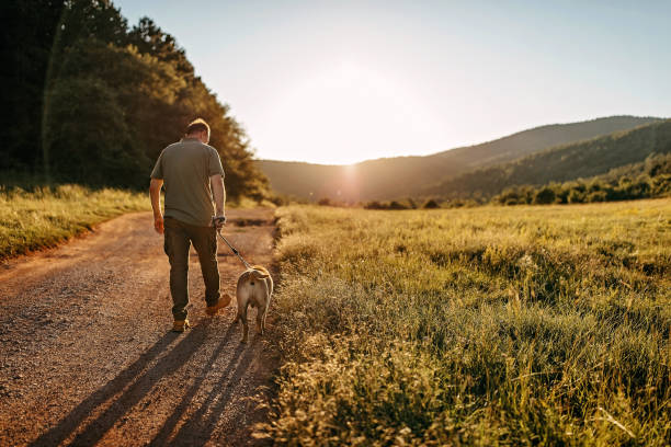 istock Senior man walking his dog 1272613425