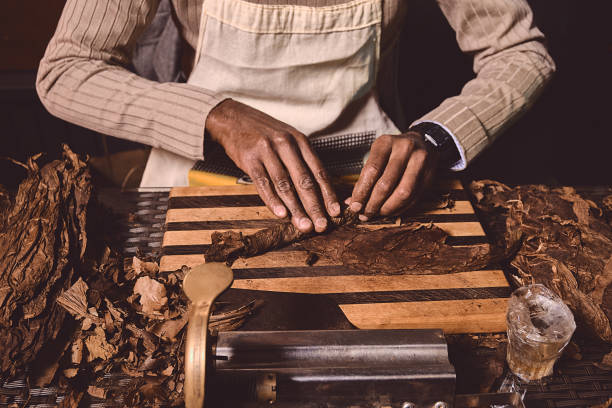 processo di produzione di sigari tradizionali da foglie di tabacco con le mani utilizzando un dispositivo meccanico e premere. foglie di tabacco per la produzione di sigari. da vicino le mani degli uomini che fanno sigari. - cigarette wrapping foto e immagini stock