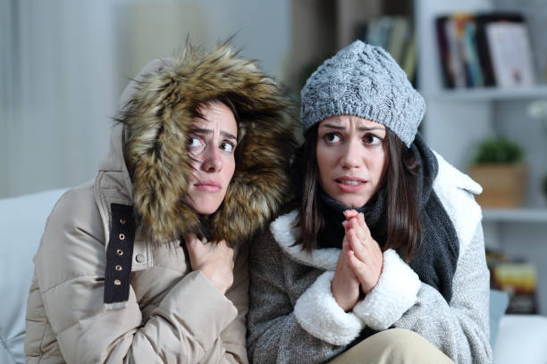 two roommates shivering in a cold winter day at home - tremendo imagens e fotografias de stock