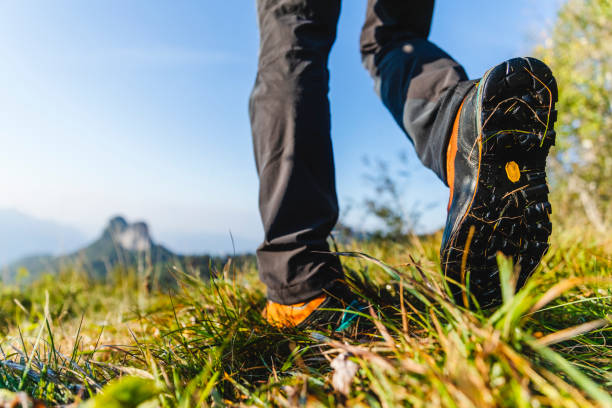 istock Hiking boots close up, man trekking on mountain meadow 1272615084