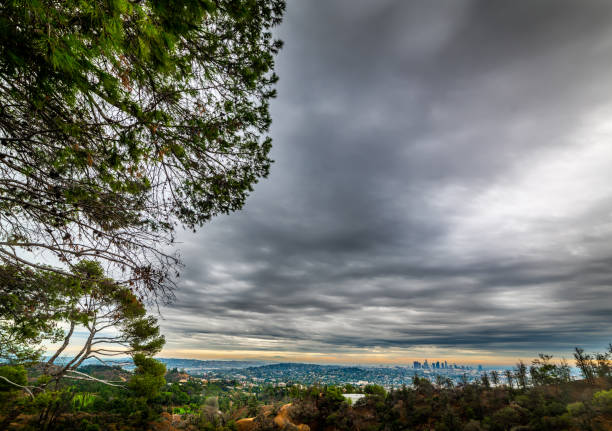 istock Los Angeles under an overast sky seen from Bronson Canyon 1272615181