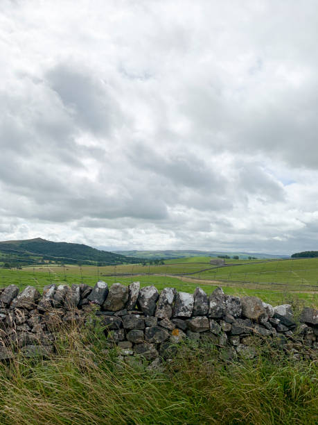 istock Time In The Countryside 1272617714