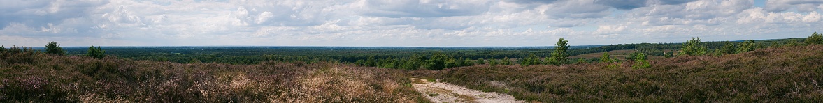 Cumulus clouds, hills and endless vistas on a summer day