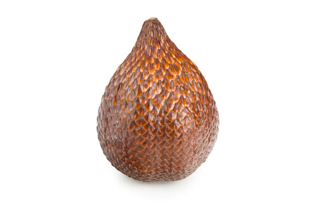 Salak or snake fruit isolated on white background. full depth of field