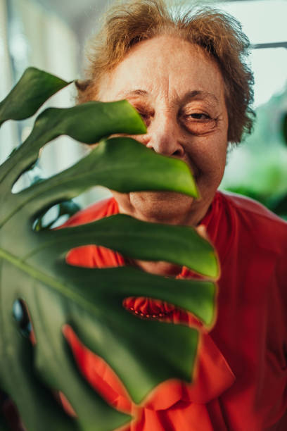 istock Queen of the garden 1272628988