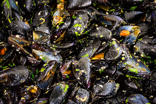 Closeup shot of raw mussels in shells in plastic buckets on fish market at sea port.