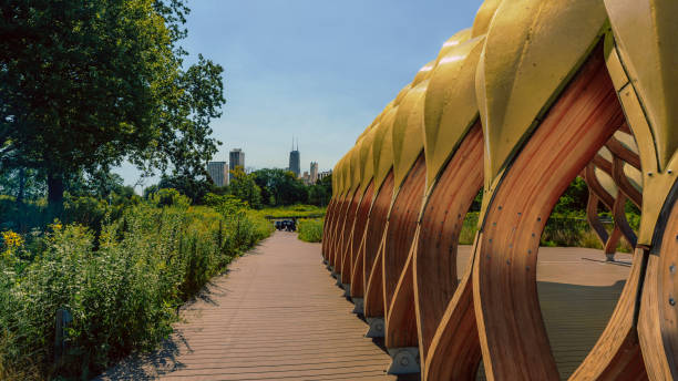 Chicago skyline from Lincoln Park