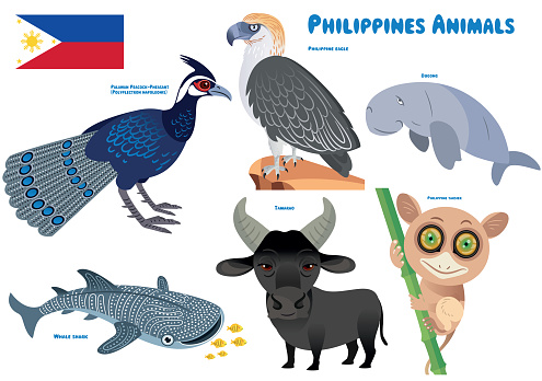 Philippines Animals