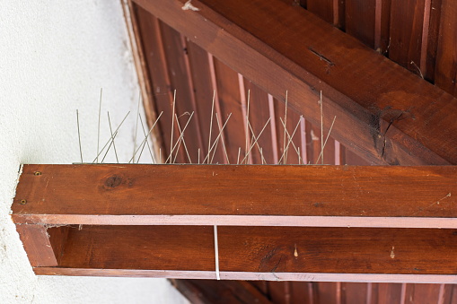Bird repellent metal spikes mounted on top of a house wooden beam.