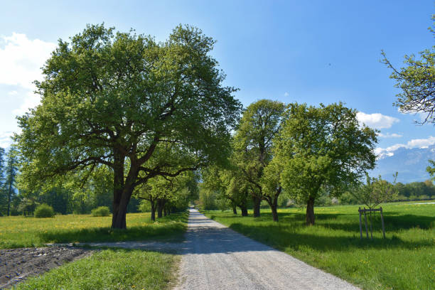 istock Landscape in Liechtenstein 23.4.2020 1272633880