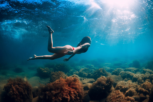 Attractive woman dive near stone with seaweed in underwater. Swimming in blue sea