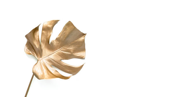 istock Golden palm leaf. Isolated on white. 1272635666