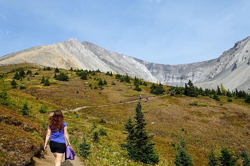 A young pretty woman walking along a hiking trail towards a huge mountain in the background during a sunny day in autumn, along the Ptarmigan Cirque trail in Kananaskis, Alberta, Canada