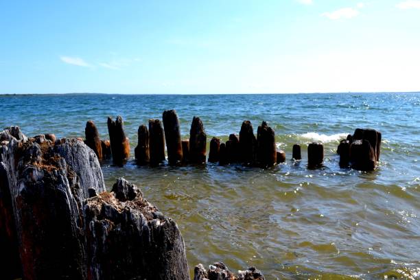 Deteriorated wooden pylons on the Great Lakes in Gladstone Michigan Old wave beaten pylons which were once a pier now become a beautiful scene of nautical historic vision alone  Little Bay De Noc near Gladstone Michigan along the shores  Lake Michigan and Green Bay. gladstone michigan photos stock pictures, royalty-free photos & images