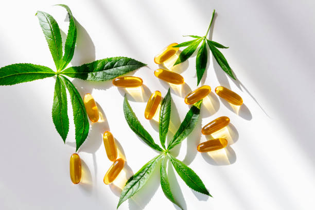 Gelatin softgels Capsules of Omega-3 fats decorated with green leaves on white background. Eicosapentaenoic acid and fish oil. Organic natural supplements concept Gelatin softgels Capsules of Omega-3 fats decorated with green leaves on white background. acid and fish oil. Organic natural supplements concept eicosapentaenoic acid stock pictures, royalty-free photos & images