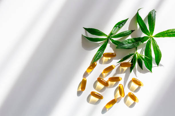 Gelatin softgels Capsules of Omega-3 fats decorated with green leaves on white background. Eicosapentaenoic acid and fish oil. Organic natural supplements concept Gelatin softgels Capsules of Omega-3 fats decorated with green leaves on white background. acid and fish oil. Organic natural supplements concept eicosapentaenoic acid stock pictures, royalty-free photos & images