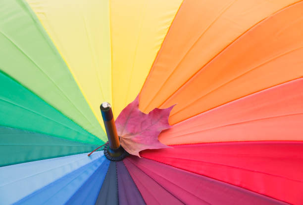 Rainbow coloured umbrella and autumn maple leaf. Selective focus. View with copy space.