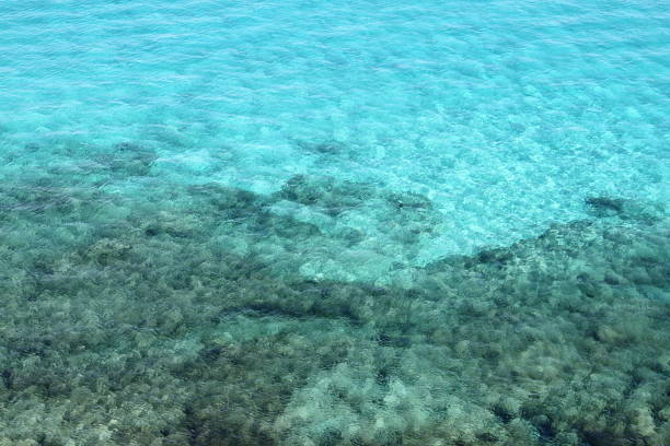 istock Shining and ripple blue water background 1272648429